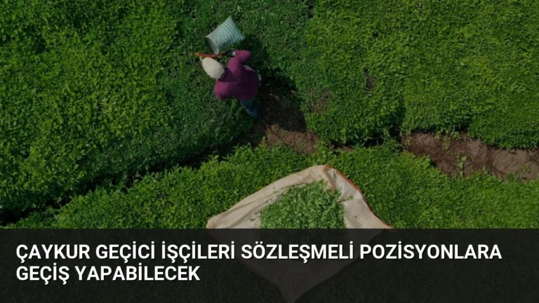 ÇAYKUR Geçici İşçileri Sözleşmeli Pozisyonlara Geçiş Yapabilecek