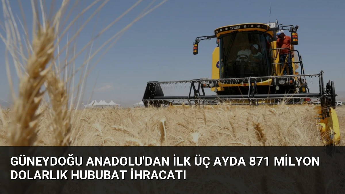 Güneydoğu Anadolu’dan İlk Üç Ayda 871 Milyon Dolarlık Hububat İhracatı