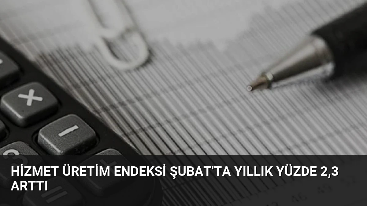 Hizmet Üretim Endeksi Şubat’ta Yıllık Yüzde 2,3 Arttı