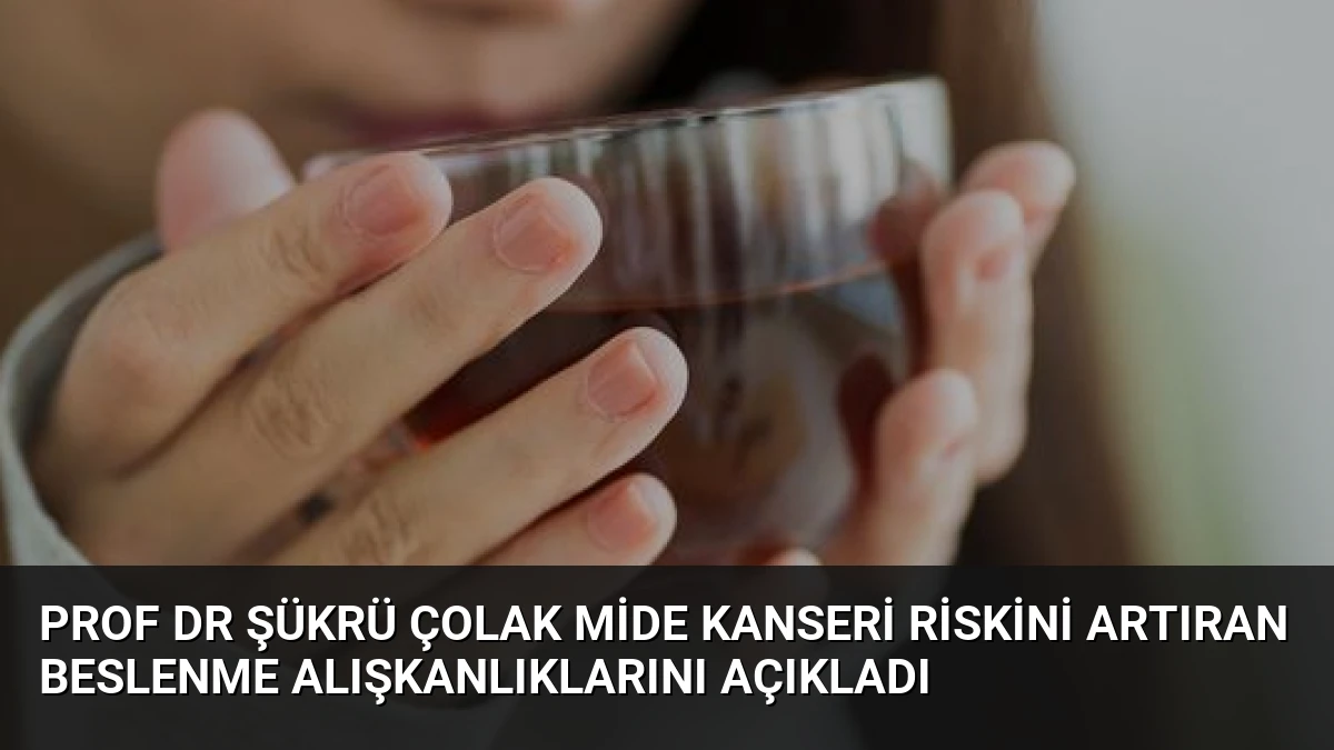 Prof Dr Şükrü Çolak Mide Kanseri Riskini Artıran Beslenme Alışkanlıklarını Açıkladı
