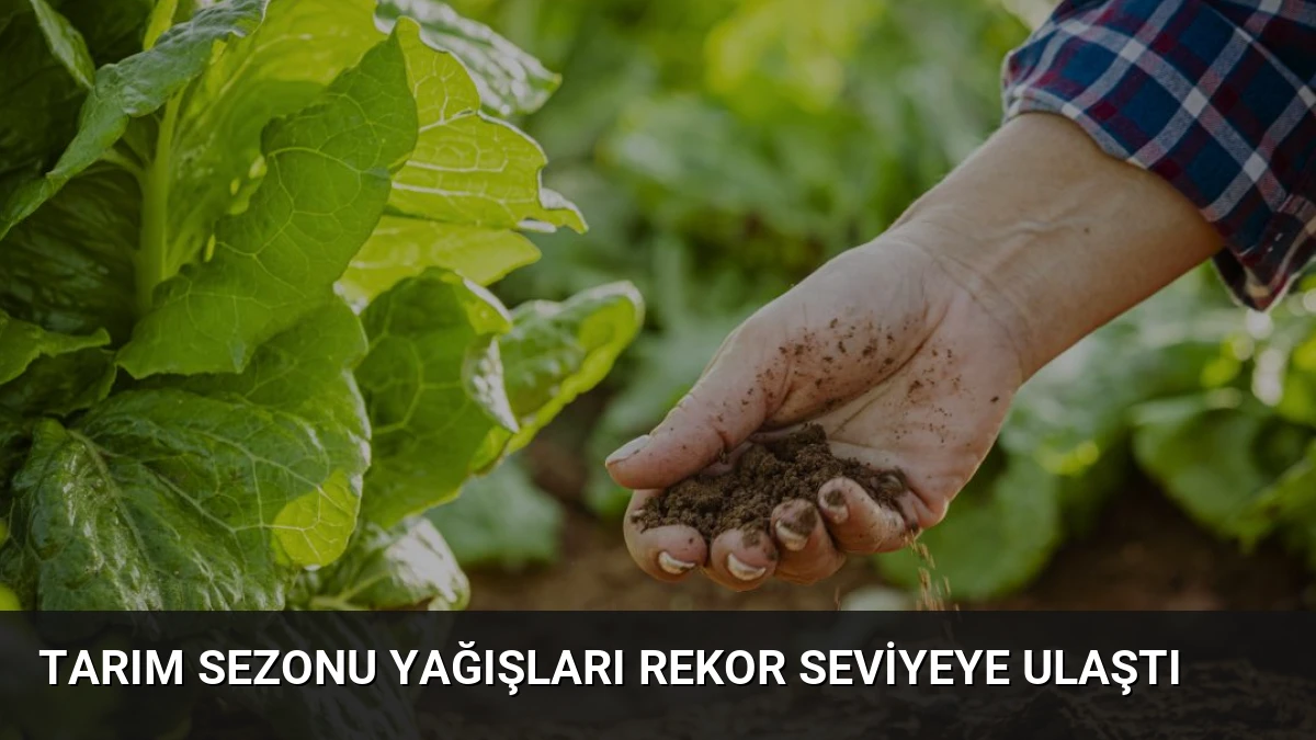 Tarım Sezonu Yağışları Rekor Seviyeye Ulaştı