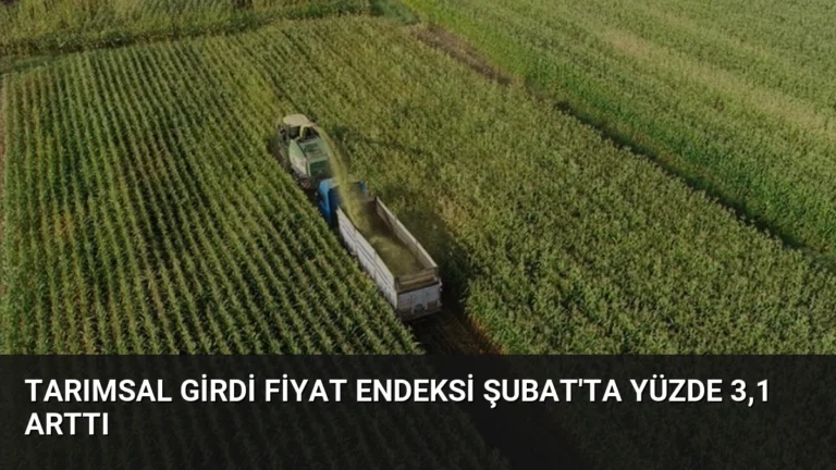Tarımsal Girdi Fiyat Endeksi Şubat’ta Yüzde 3,1 Arttı