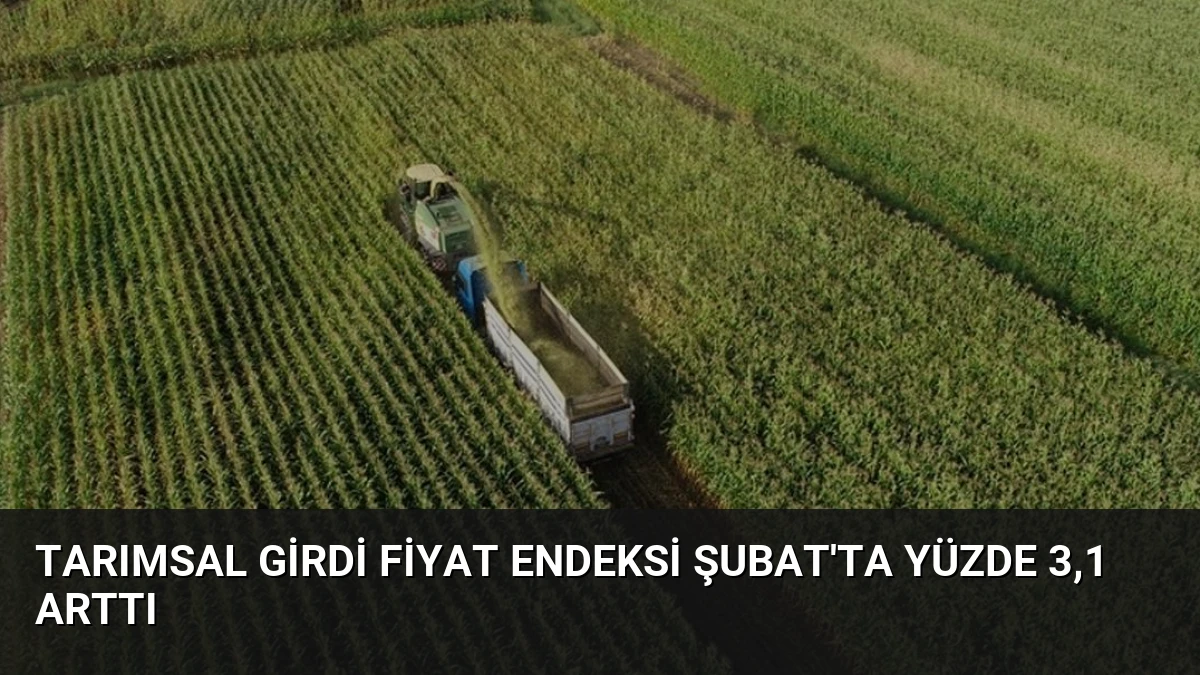 Tarımsal Girdi Fiyat Endeksi Şubat’ta Yüzde 3,1 Arttı