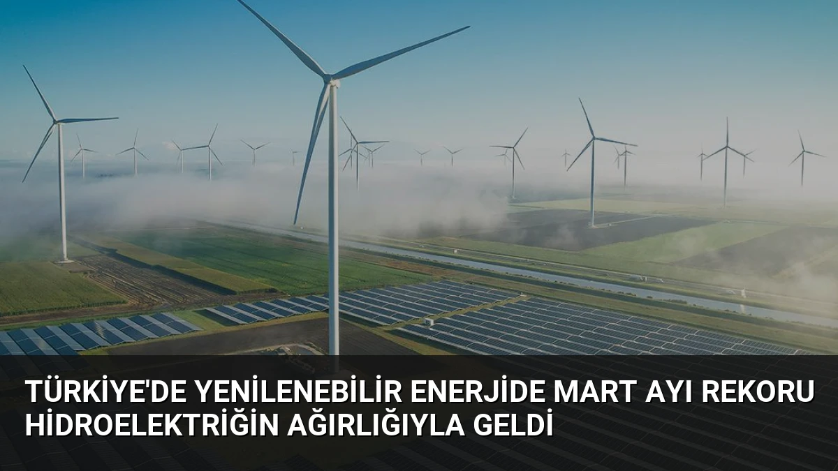 Türkiye’de Yenilenebilir Enerjide Mart Ayı Rekoru Hidroelektriğin Ağırlığıyla Geldi