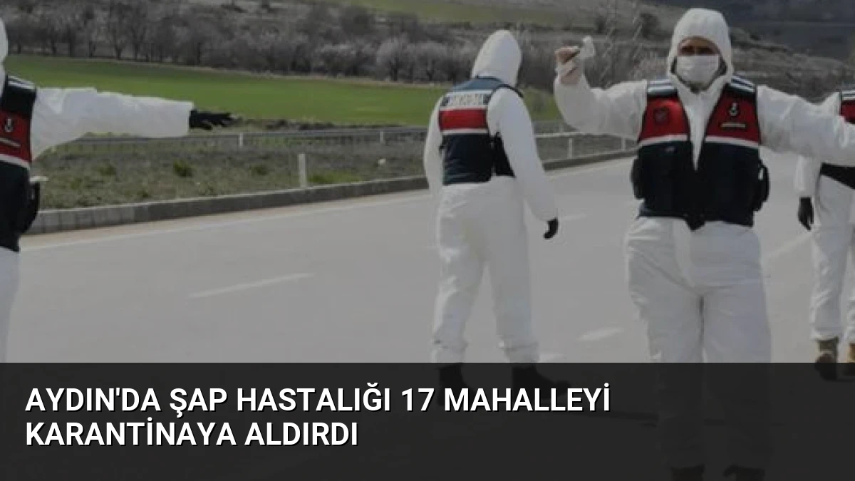 Aydın’da Şap Hastalığı 17 Mahalleyi Karantinaya Aldırdı