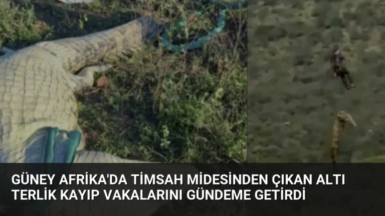 Güney Afrika’da Timsah Midesinden Çıkan Altı Terlik Kayıp Vakalarını Gündeme Getirdi
