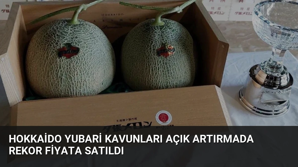 Hokkaido Yubari Kavunları Açık Artırmada Rekor Fiyata Satıldı