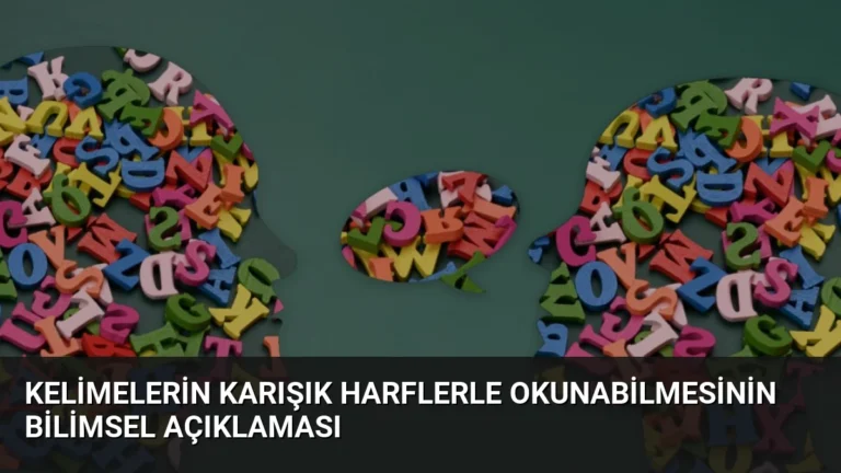 Kelimelerin Karışık Harflerle Okunabilmesinin Bilimsel Açıklaması