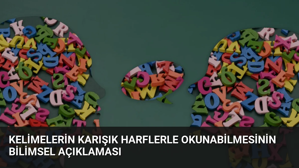 Kelimelerin Karışık Harflerle Okunabilmesinin Bilimsel Açıklaması