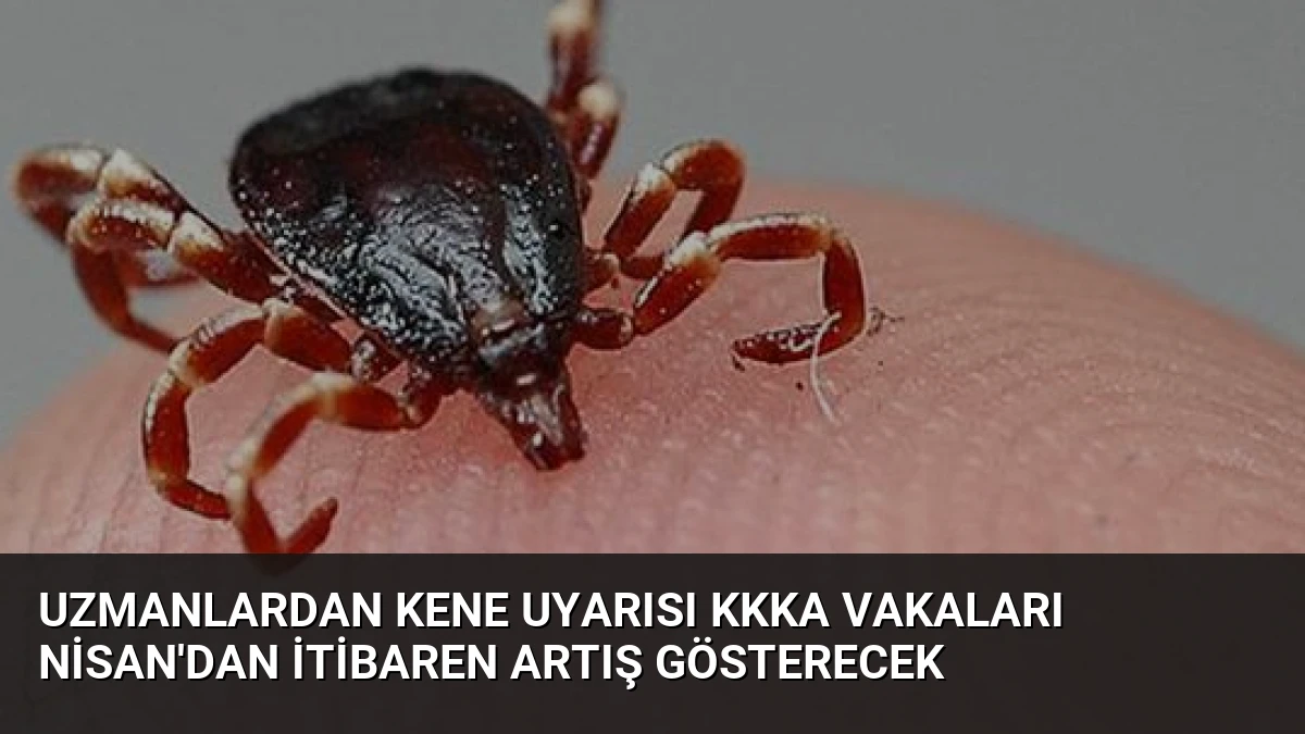 Uzmanlardan Kene Uyarısı KKKA Vakaları Nisan’dan İtibaren Artış Gösterecek