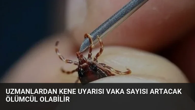 Uzmanlardan Kene Uyarısı Vaka Sayısı Artacak Ölümcül Olabilir