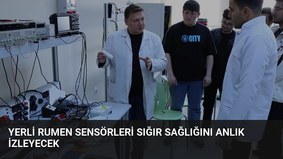 Yerli Rumen Sensörleri Sığır Sağlığını Anlık İzleyecek