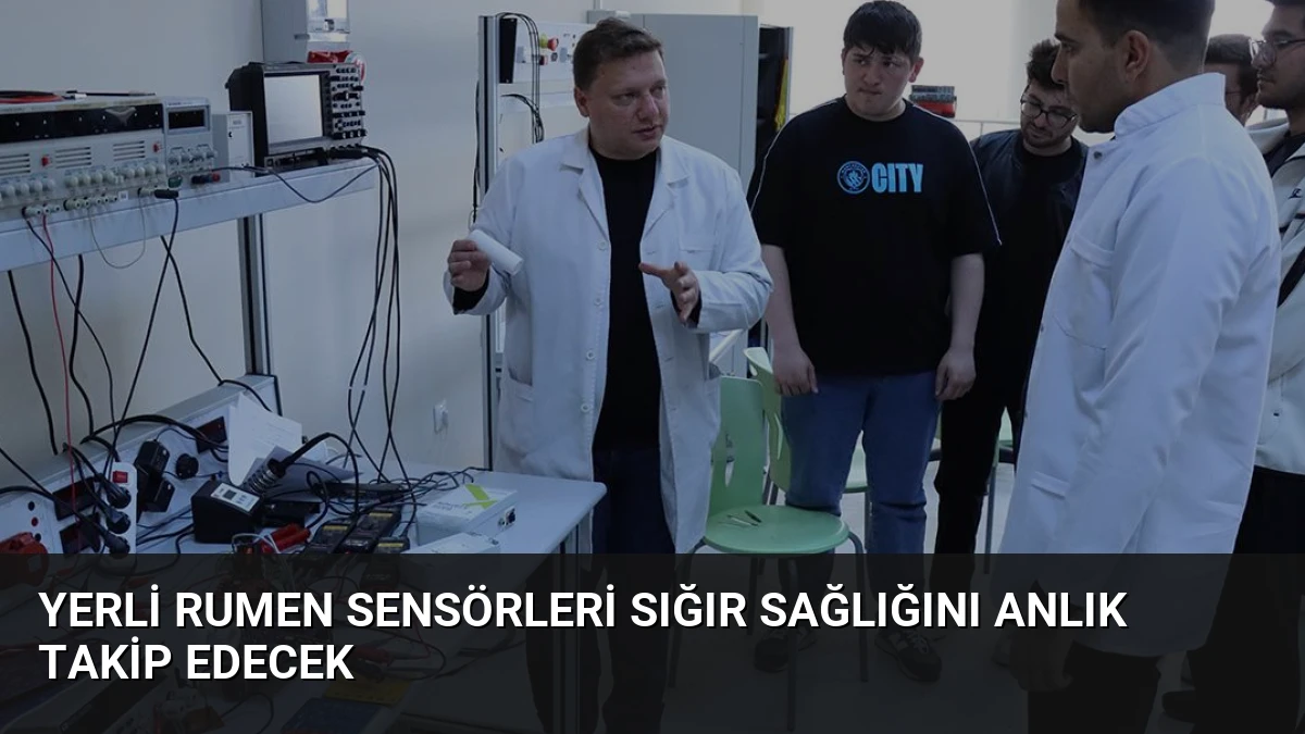 Yerli Rumen Sensörleri Sığır Sağlığını Anlık Takip Edecek