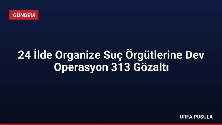 24 İlde Organize Suç Örgütlerine Dev Operasyon 313 Gözaltı