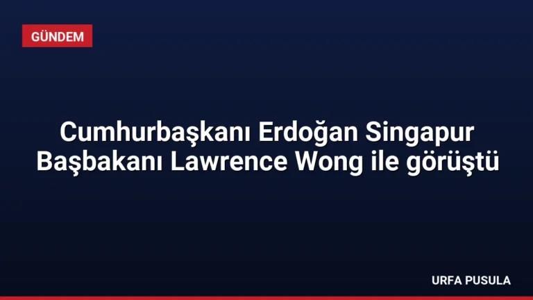 Cumhurbaşkanı Erdoğan Singapur Başbakanı Lawrence Wong ile görüştü