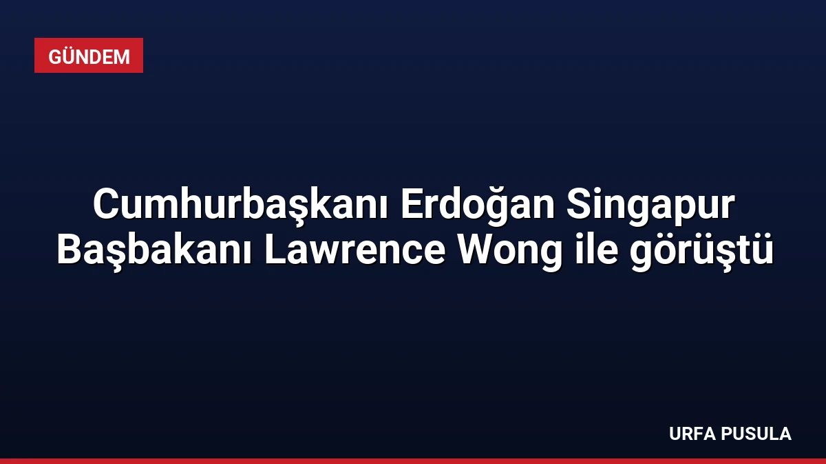 Cumhurbaşkanı Erdoğan Singapur Başbakanı Lawrence Wong ile görüştü