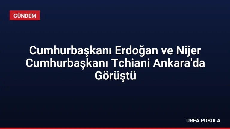 Cumhurbaşkanı Erdoğan ve Nijer Cumhurbaşkanı Tchiani Ankara’da Görüştü