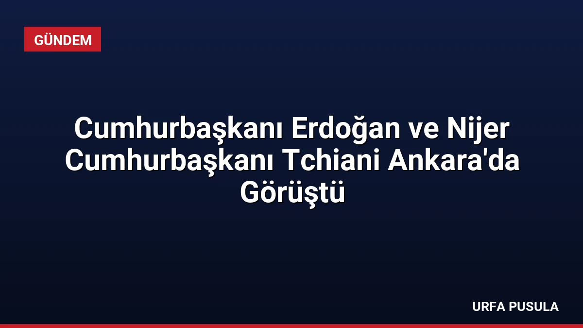 Cumhurbaşkanı Erdoğan ve Nijer Cumhurbaşkanı Tchiani Ankara’da Görüştü