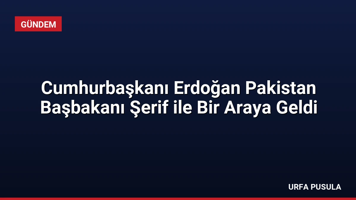 Cumhurbaşkanı Erdoğan Pakistan Başbakanı Şerif ile Bir Araya Geldi