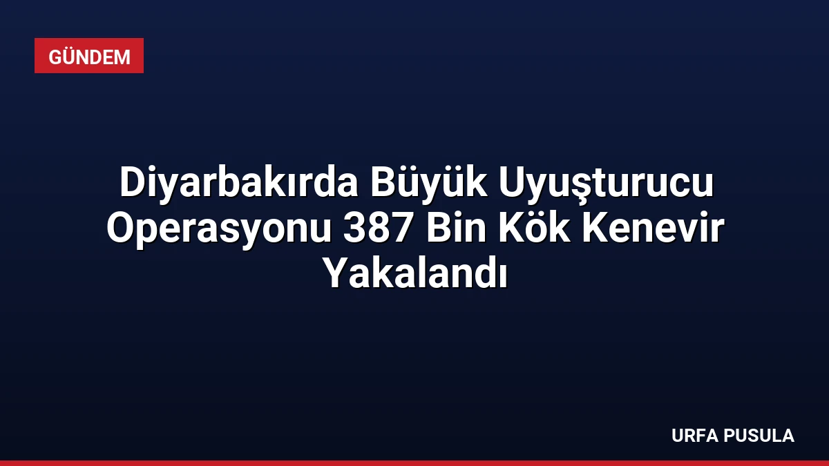 Diyarbakırda Büyük Uyuşturucu Operasyonu 387 Bin Kök Kenevir Yakalandı
