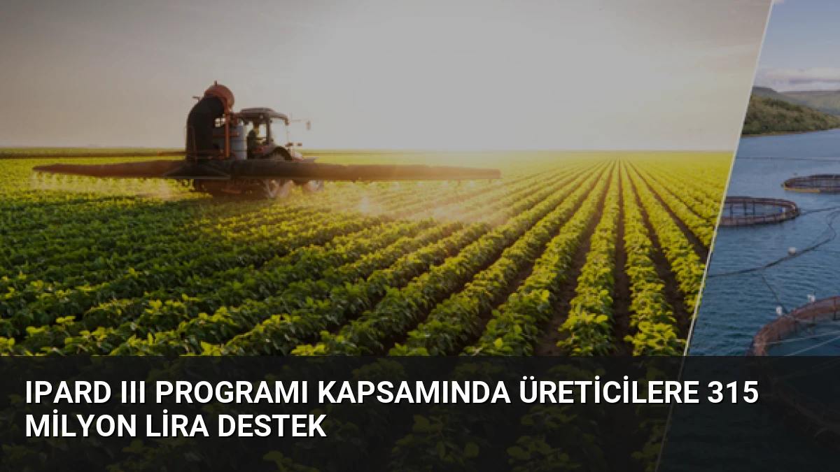 IPARD III Programı Kapsamında Üreticilere 315 Milyon Lira Destek