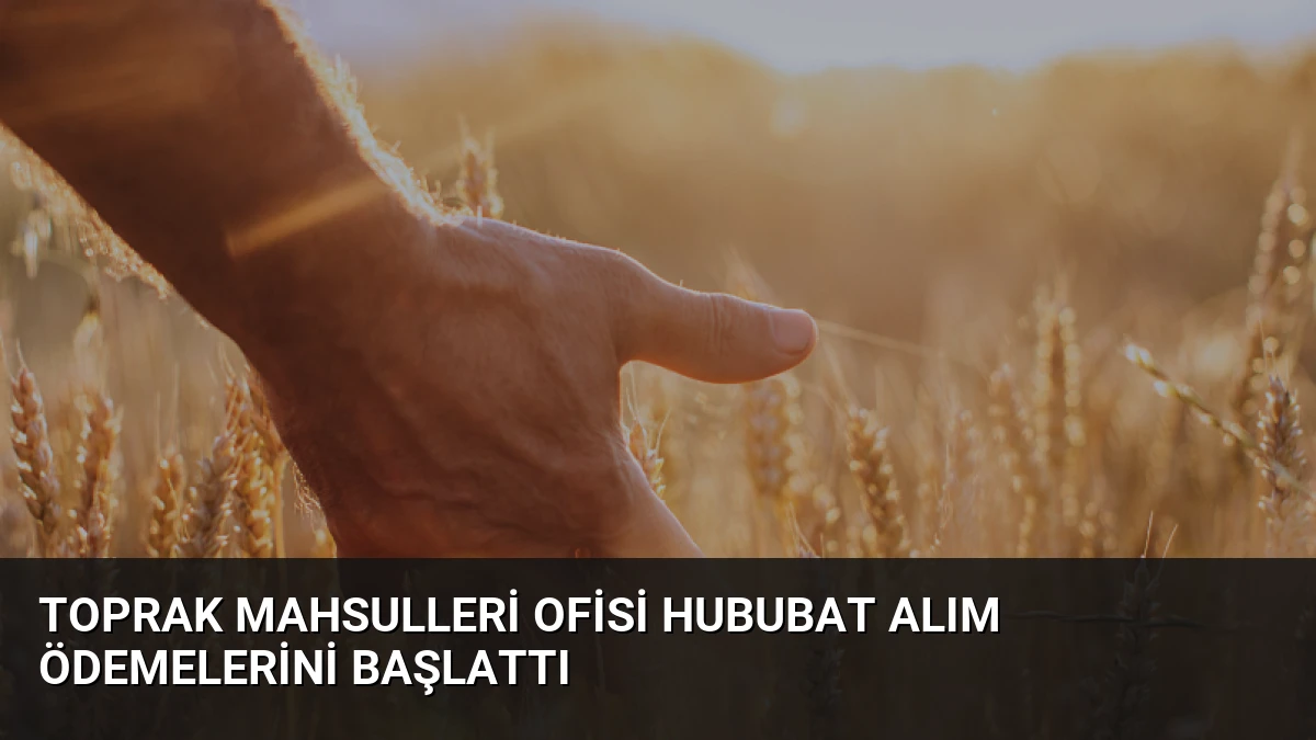 Toprak Mahsulleri Ofisi Hububat Alım Ödemelerini Başlattı