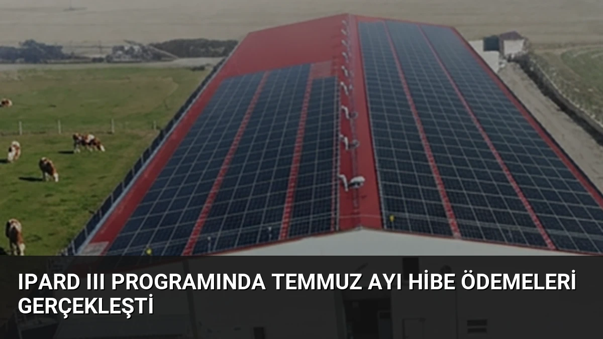 IPARD III Programında Temmuz Ayı Hibe Ödemeleri Gerçekleşti