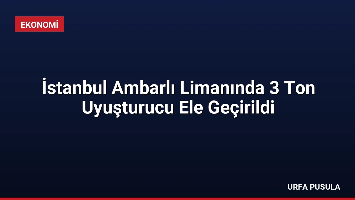İstanbul Ambarlı Limanında 3 Ton Uyuşturucu Ele Geçirildi