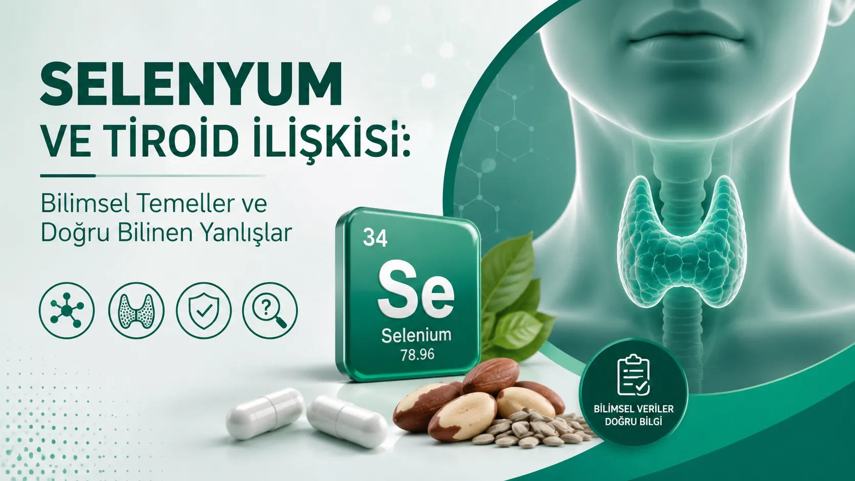 Selenyum ve Tiroid İlişkisi: Bilimsel Temeller ve Doğru Bilinen Yanlışlar