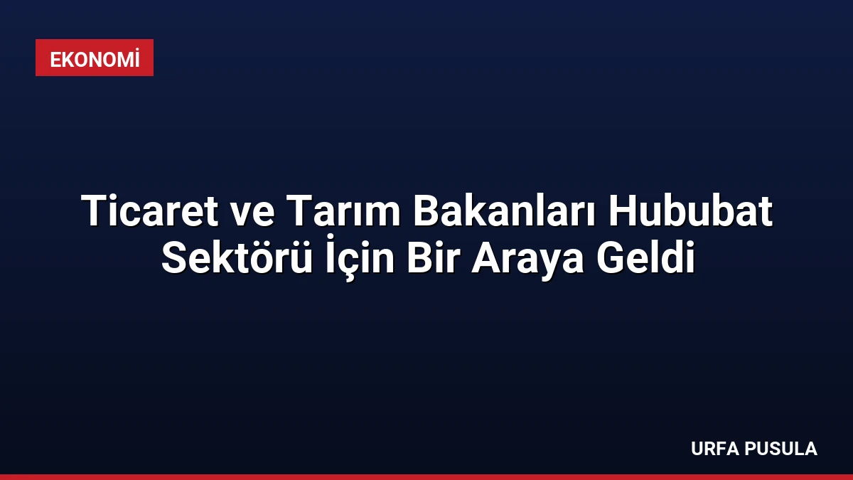 Ticaret ve Tarım Bakanları Hububat Sektörü İçin Bir Araya Geldi