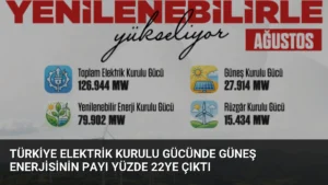 Türkiye Elektrik Kurulu Gücünde Güneş Enerjisinin Payı Yüzde 22ye Çıktı