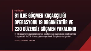 81 İlde Göçmen Kaçakçılığı Operasyonu 19 Organizatör ve 230 Düzensiz Göçmen Yakalandı