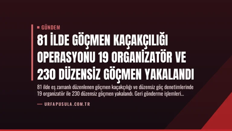81 İlde Göçmen Kaçakçılığı Operasyonu 19 Organizatör ve 230 Düzensiz Göçmen Yakalandı