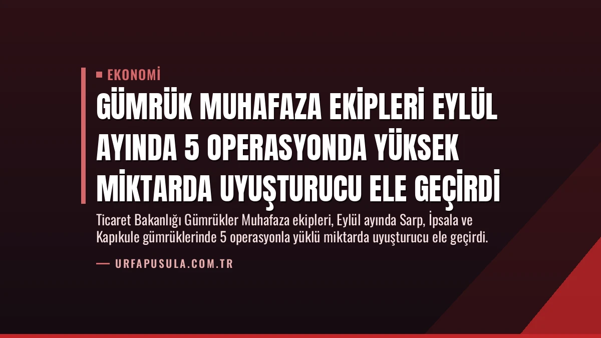 Gümrük Muhafaza Ekipleri Eylül Ayında 5 Operasyonda Yüksek Miktarda Uyuşturucu Ele Geçirdi