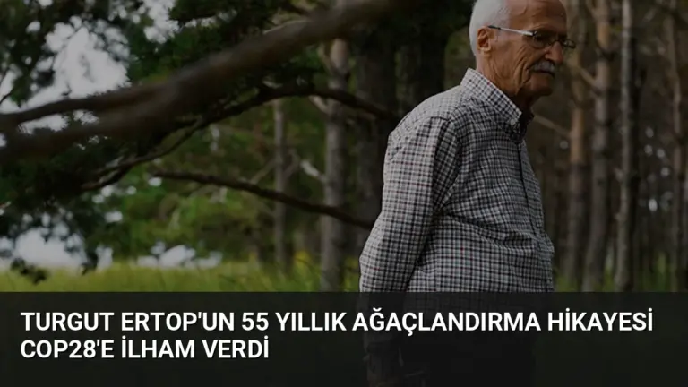 Turgut Ertop’un 55 Yıllık Ağaçlandırma Hikayesi COP28’e İlham Verdi