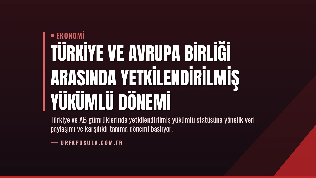 Türkiye ve Avrupa Birliği Arasında Yetkilendirilmiş Yükümlü Dönemi